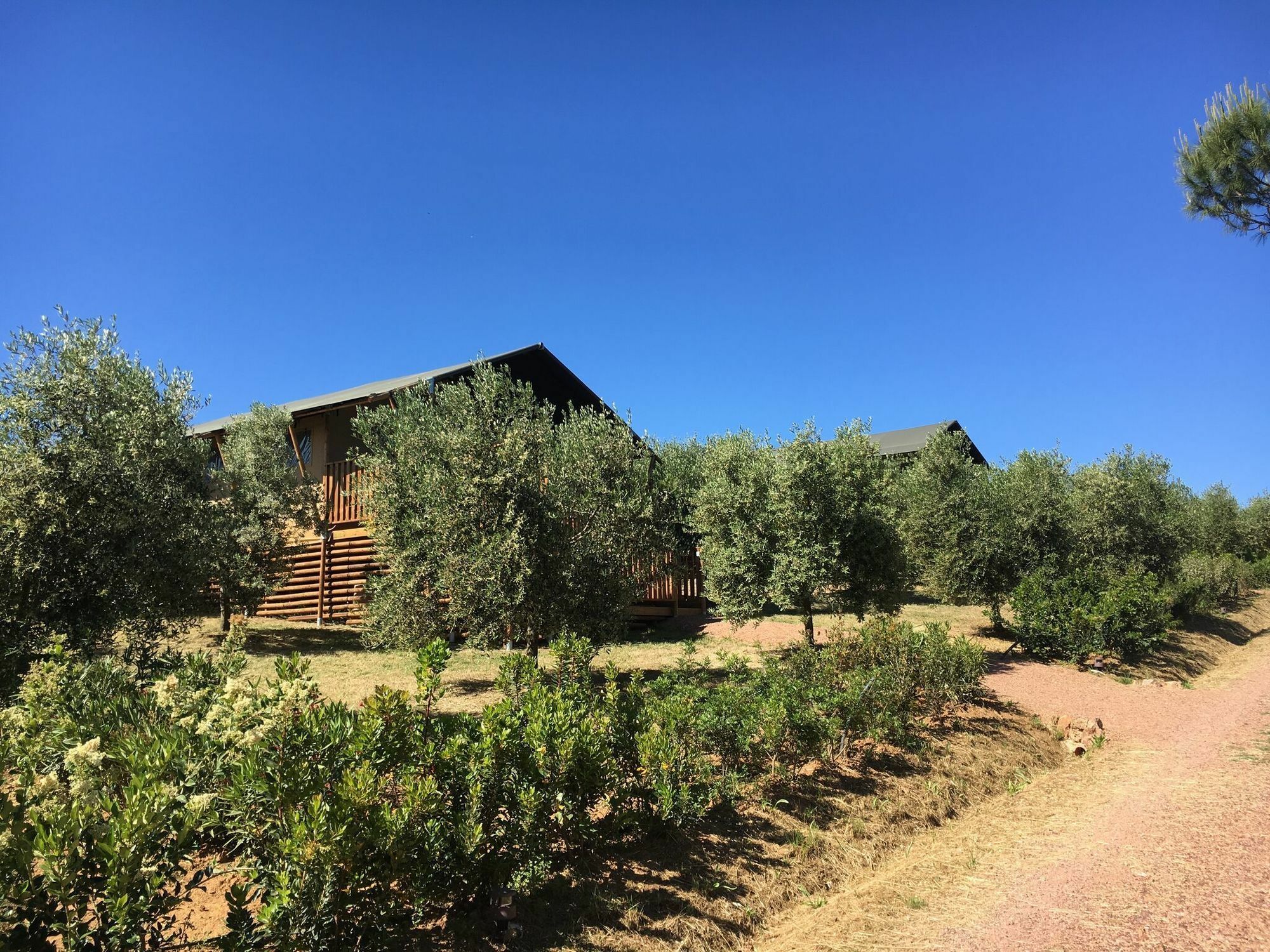 Glamping Glamping Tenuta Poggio Rosso