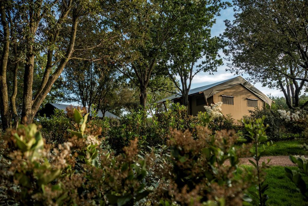 Glamping Glamping Tenuta Poggio Rosso 3*