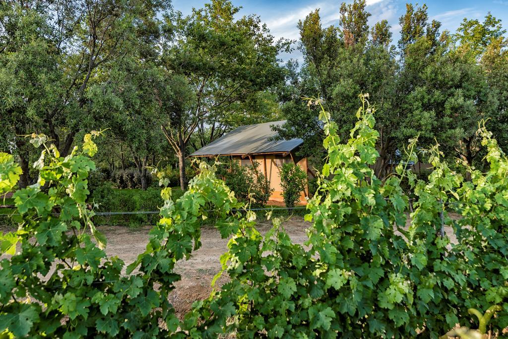 Glamping Tenuta Poggio Rosso Glamping 3*