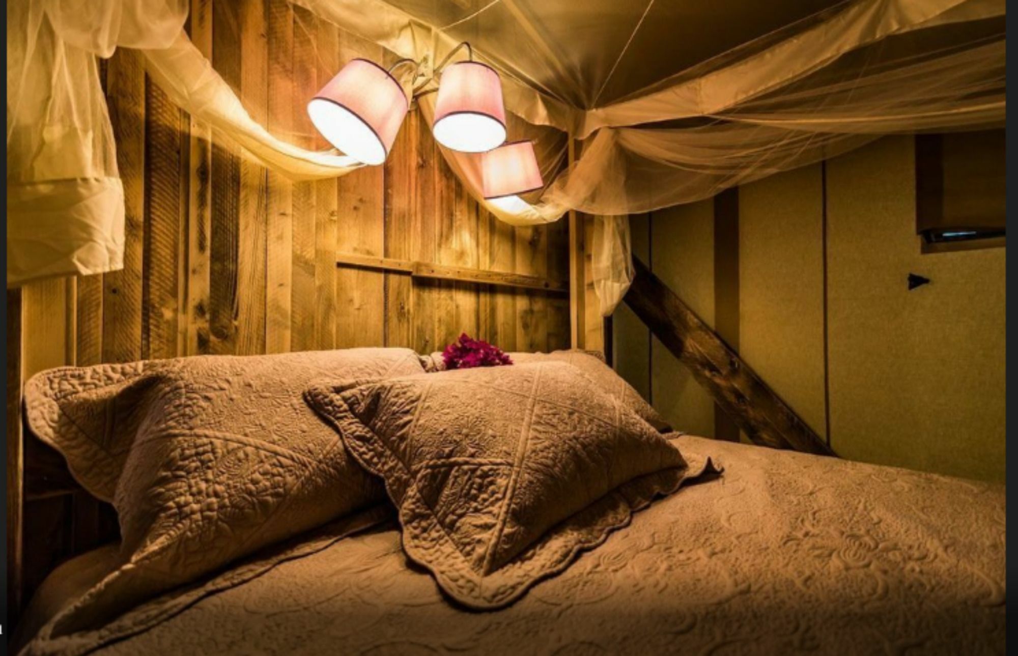 Glamping Tenuta Poggio Rosso 3* Populonia
