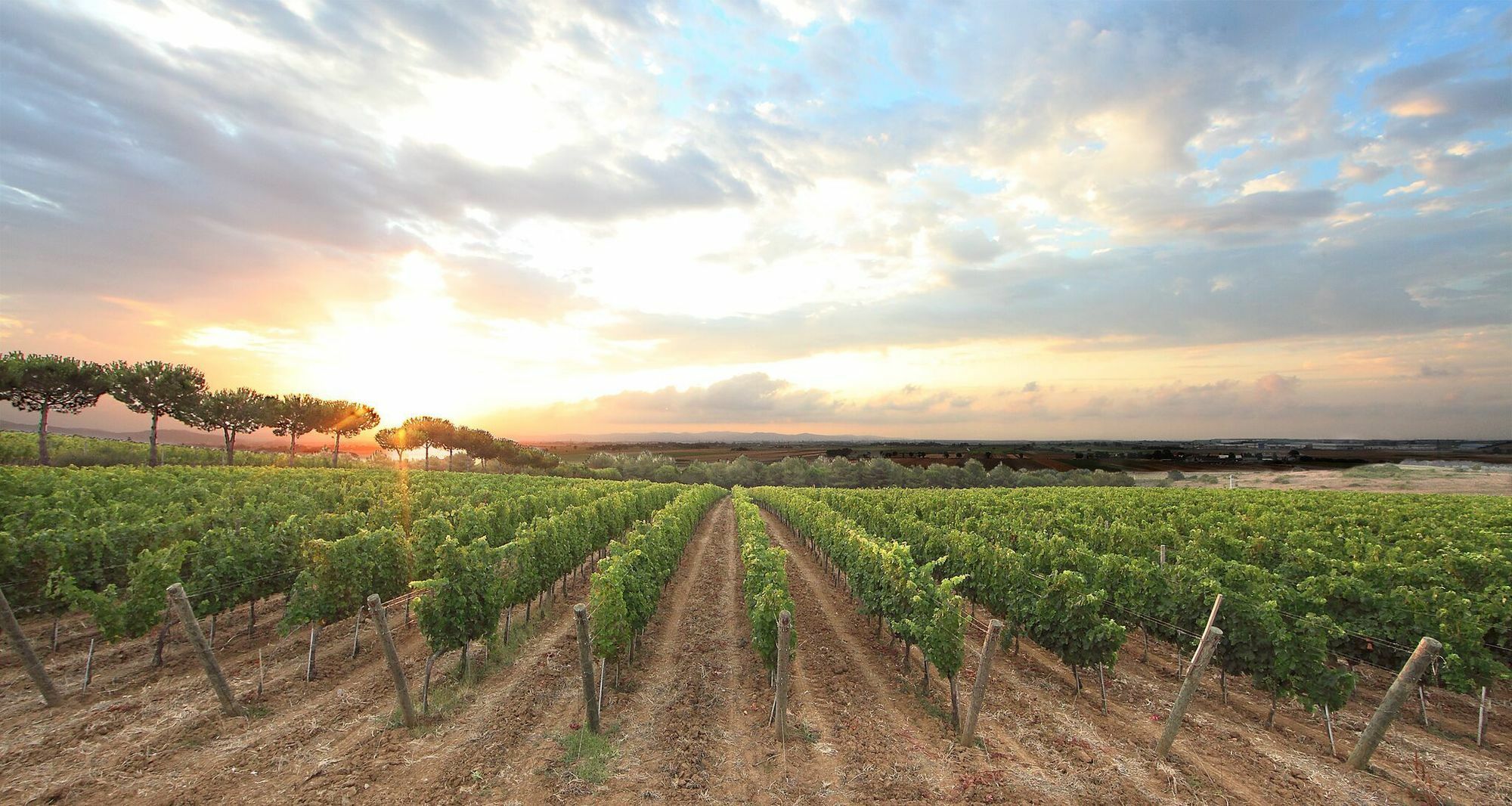 Glamping Tenuta Poggio Rosso